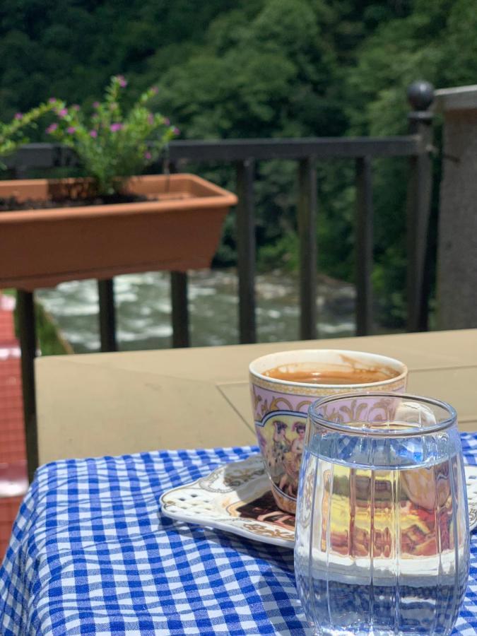 Pordanis Hotel Çamlıhemşin Zewnętrze zdjęcie